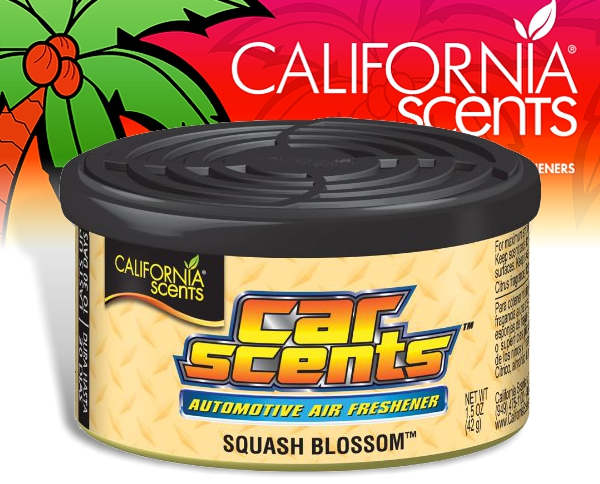CarScents - Orange Blossom