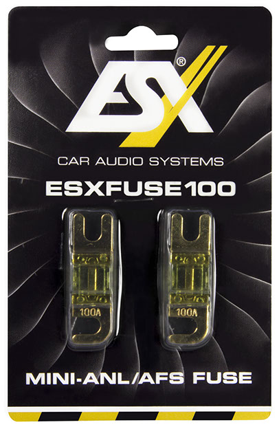 ESX Mini ANL Sicherung 2 Stück 100A