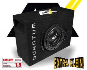 ESX Quantum Subwoofer Bass extra klein QSB6v2 16.5cm 500W