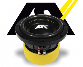 ESX Subwoofer Bass Lautsprecher Quantum QE622