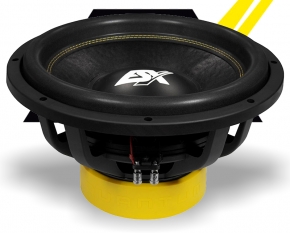 ESX Subwoofer Bass Lautsprecher Quantum QXE12D2