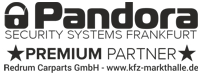 Pandora Security Systems