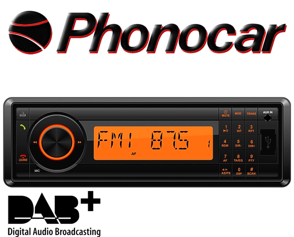 Beeldhouwwerk Zeeanemoon afstuderen Retro Autoradio DAB+ USB SD Oldtimer Youngtimer Auto LKW