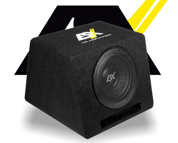 ESX Auto Subwoofer Bassbox DBX112Q 30cm 600W