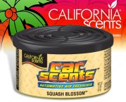 CarScents - Orange Blossom