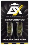 ESX Mini ANL Sicherung 2 Stück 100A