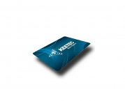 Zusatz-Chek-Karte RFID für Elektronische Wegfahrsperre WFS003